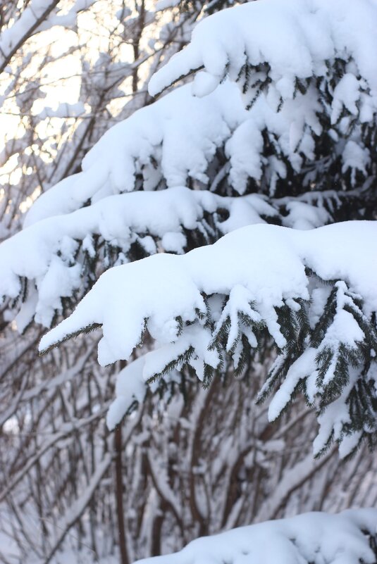 Зимушка - Светлана Мишенёва