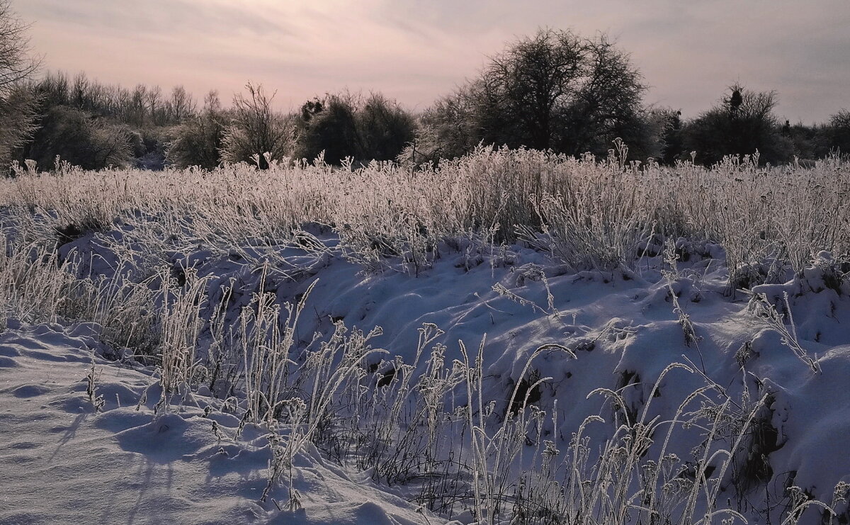 Морозит - В.И 