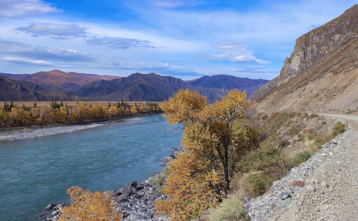 Катунь осенняя в Чемале - елена беликова