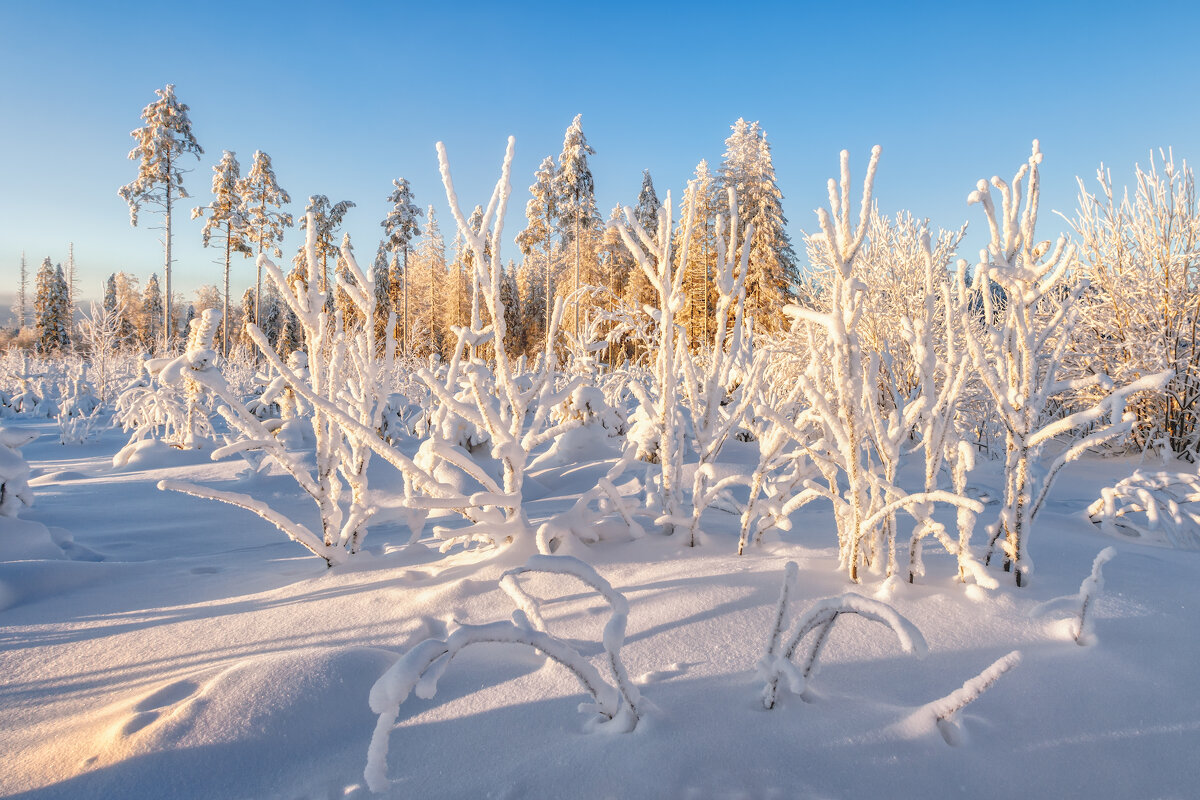 Зима - Владимир Колесников