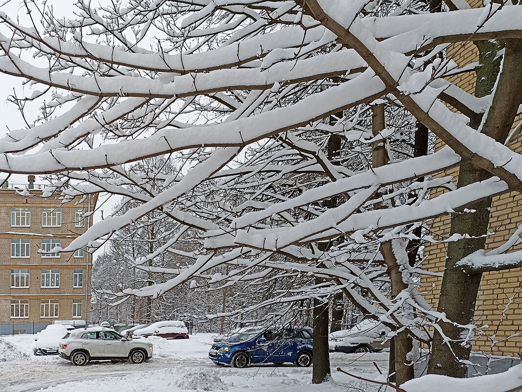 Зима рисует снегом! - Лилия *