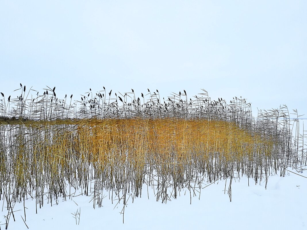 Зимний сон - Hope 