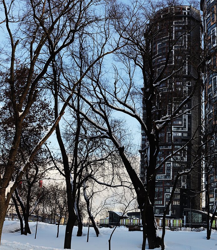 Стремление в верх. - Василий Палий