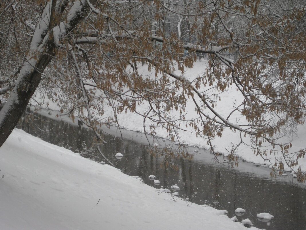 Речка Лихоборка в январе - Дмитрий Никитин