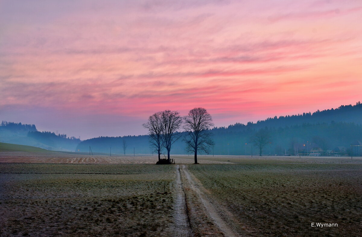 morning - Elena Wymann