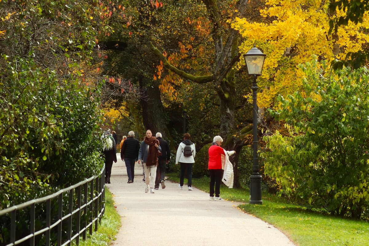 Один день осени - Юрий. Шмаков