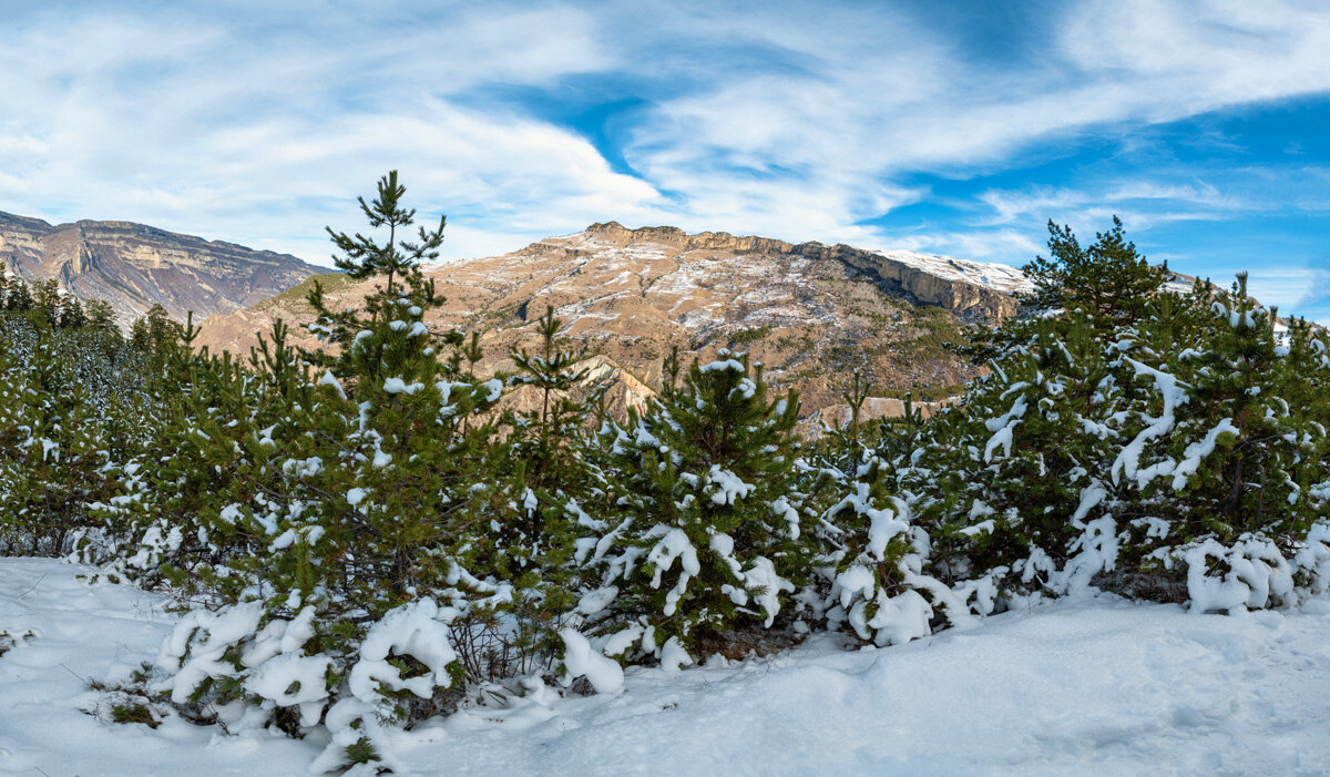Горный Дагестан. - Дина Евсеева