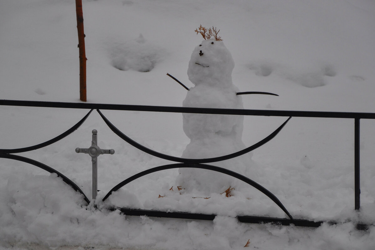 Символ зимы - Татьяна Машошина