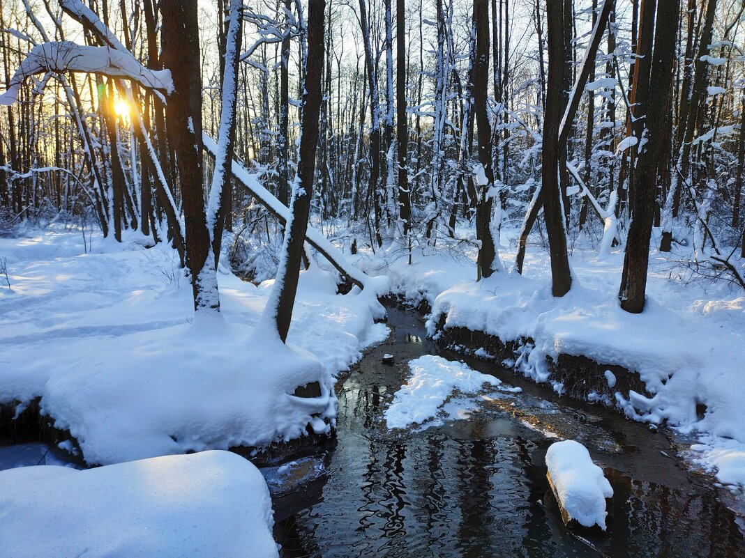 мой Крещенский сочельник - Андрей Лукьянов