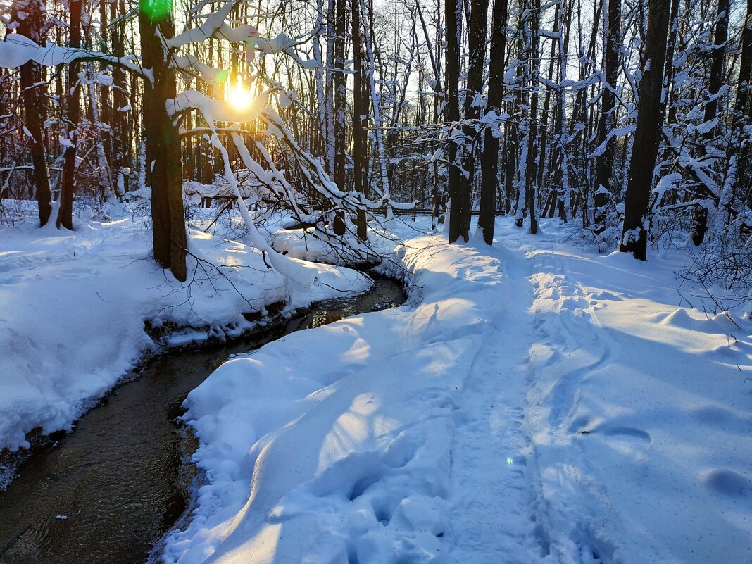 мой Крещенский сочельник - Андрей Лукьянов