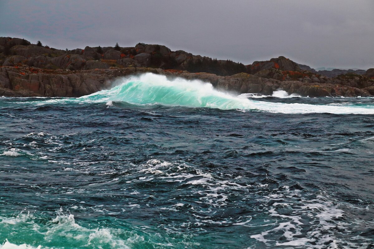 Отмель - В.И 