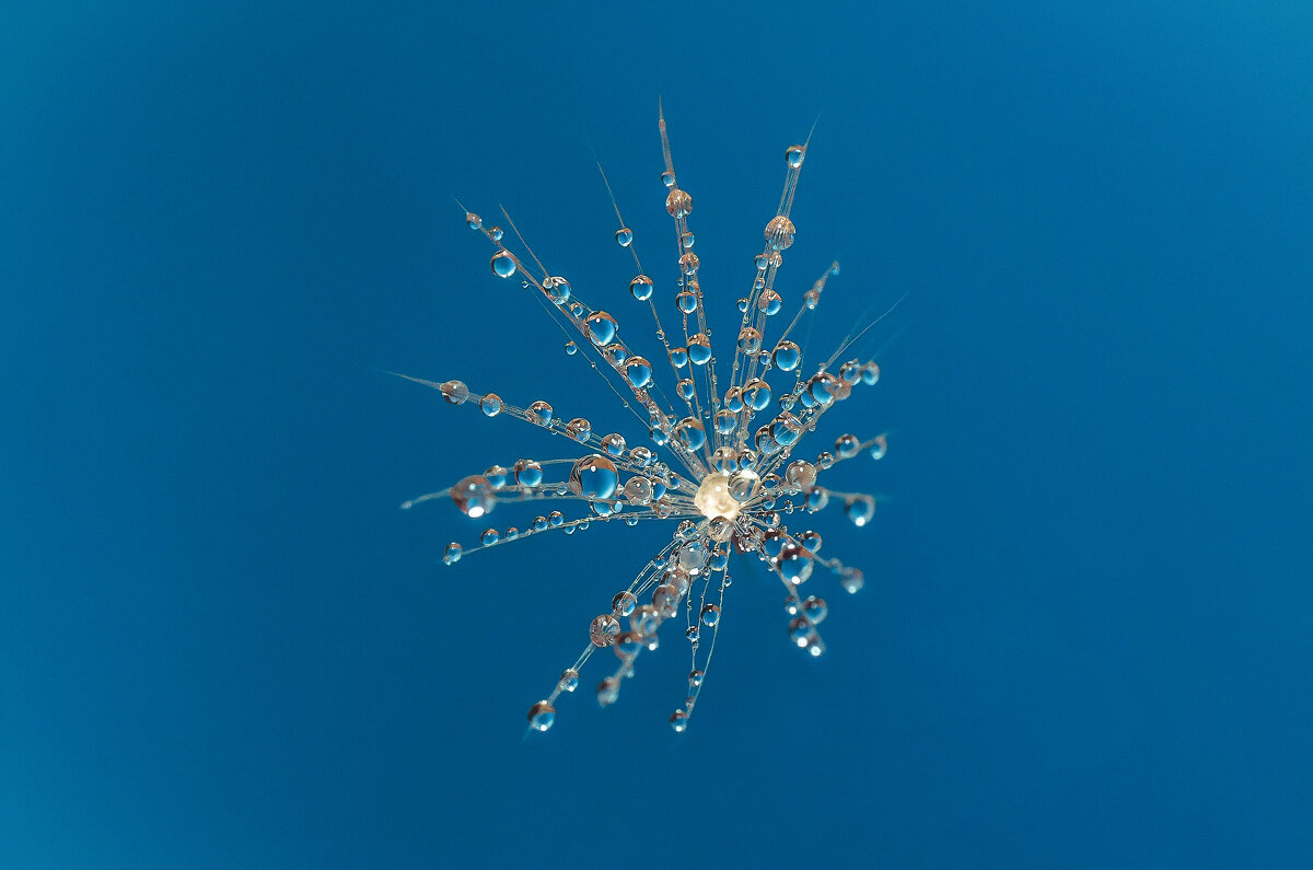 *** - Виктор Иванович Чернюк