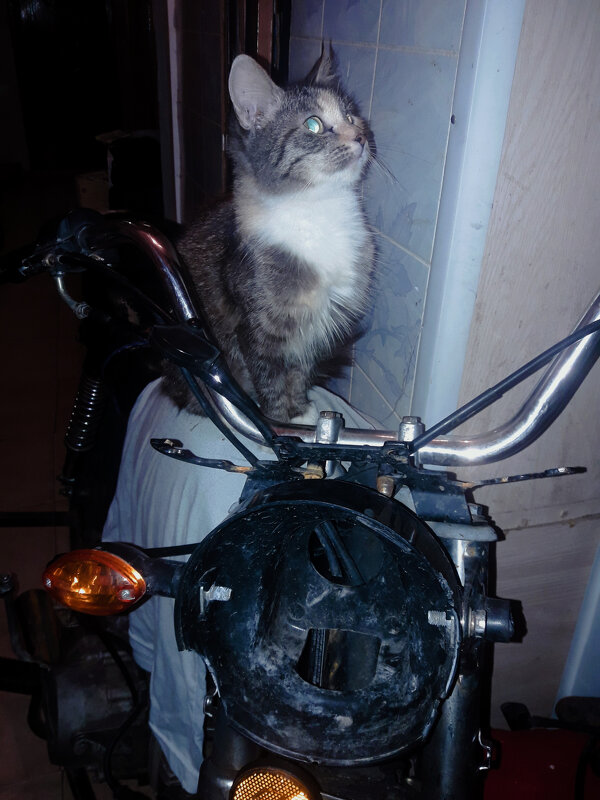 Соня - Сергей Кочнев