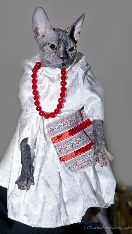 Фото с выставки. - Светлана Ищенко