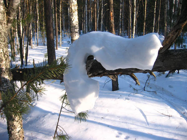 Февраль...Снежная улитка! - Владимир 