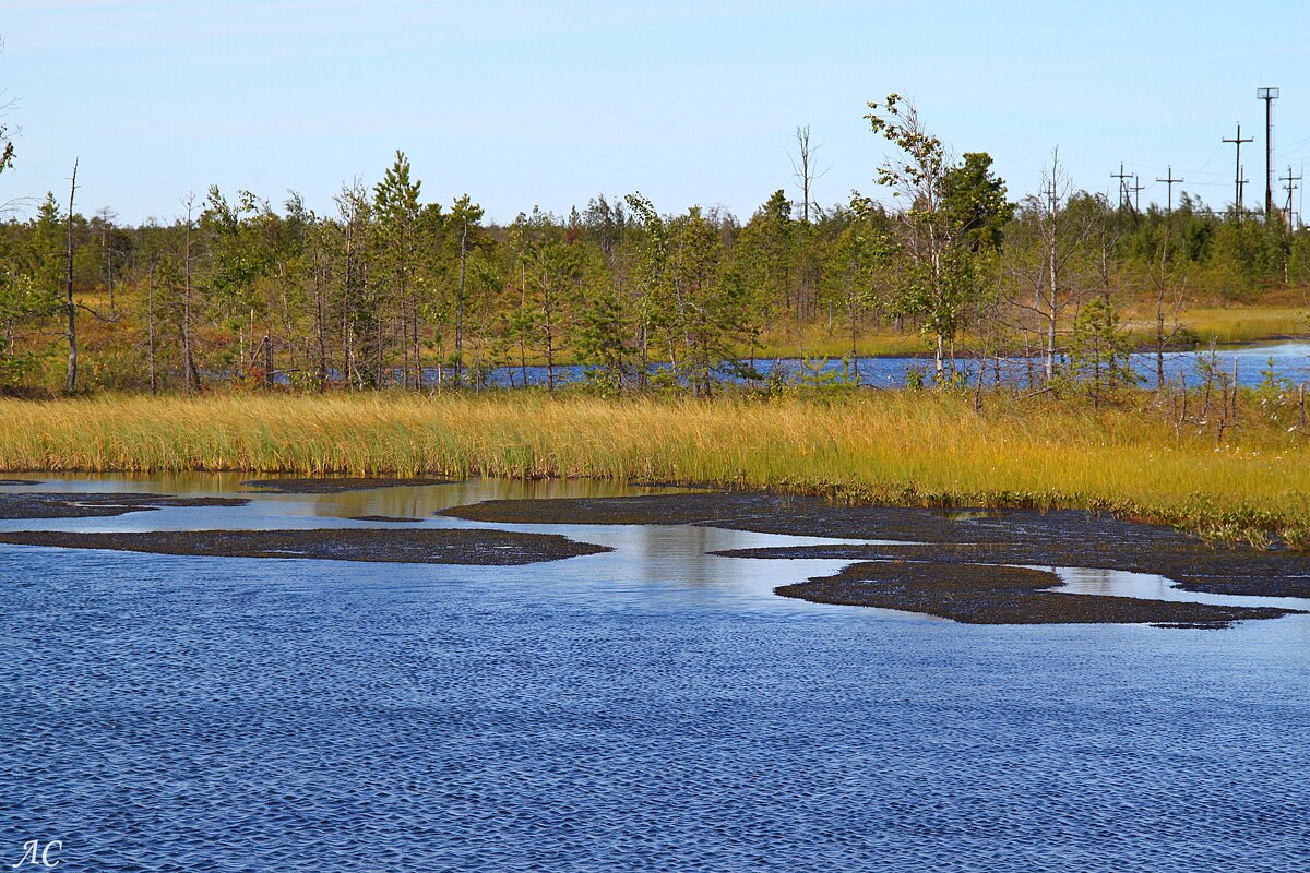 Водоёмы Сургутского района (серия) - Любовь Сахарова