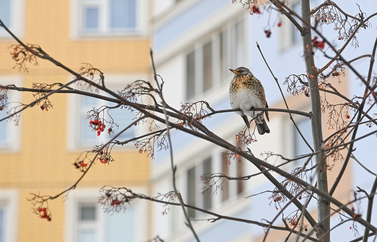 Кто не успел, тот опоздал - Валерий Иванович
