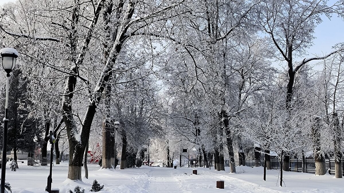 Стародуб. В городском парке. - Ольга 
