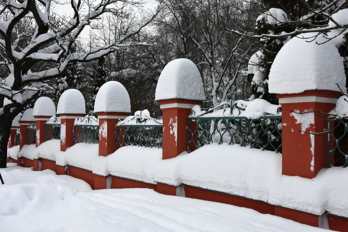 Москва. Воронцовский парк. После снегопада. - Наташа *****