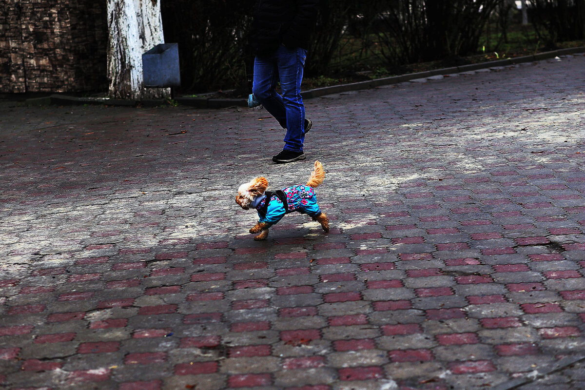 Бежит! - Юрий Гайворонскiий