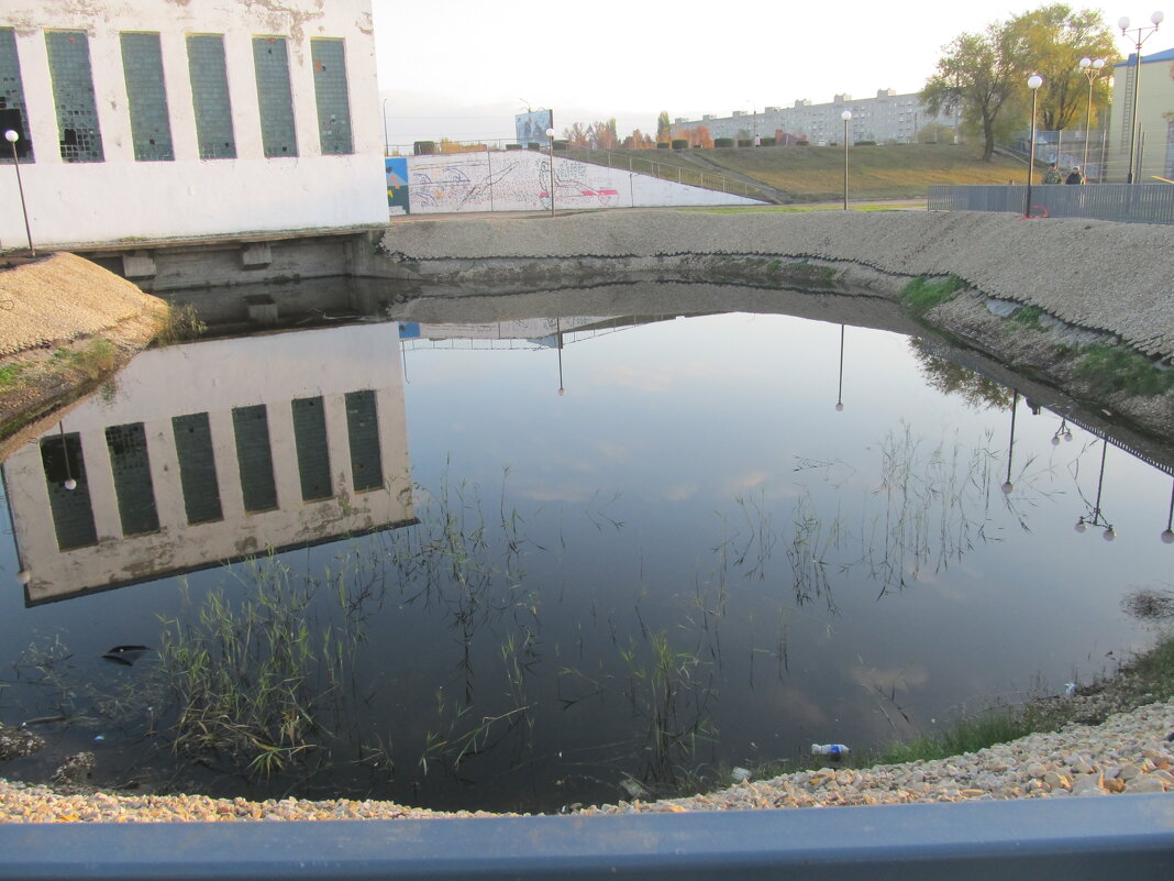 на набережной - Елена Шаламова