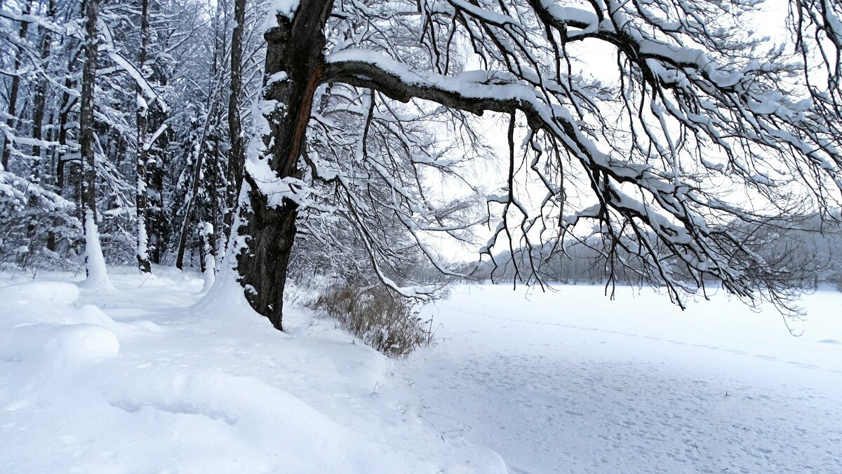 Моя Смоленщина. - Милешкин Владимир Алексеевич 