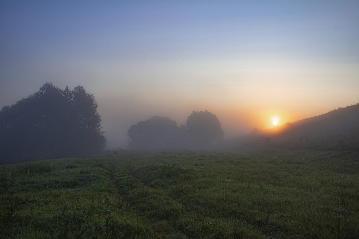 Утро. - Александр. AVG100 ---