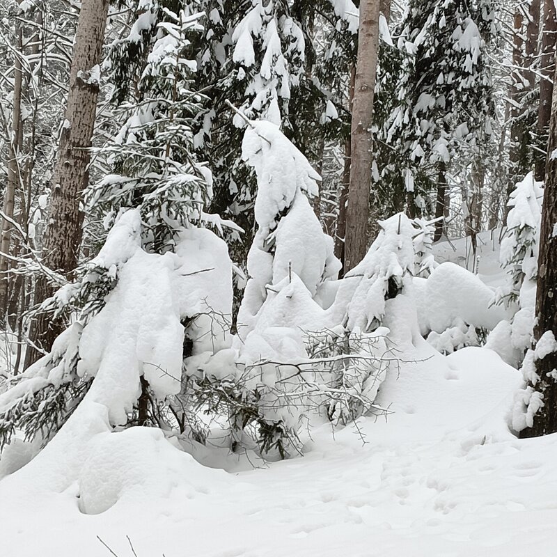 прогулка - Владимир 