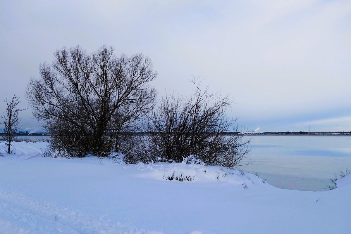 Калининградский залив и побережье - Рита Симонова