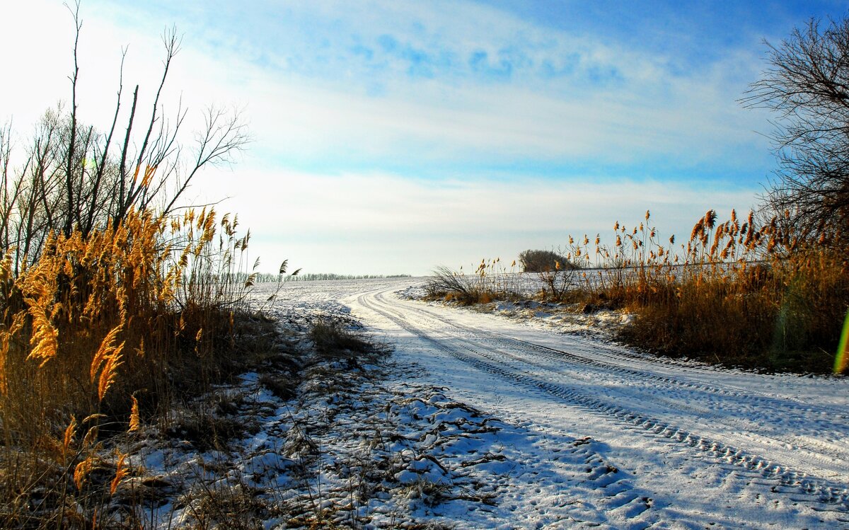Предзимье. - Владимир 