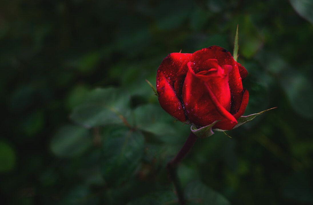 В лучах загадочного лета - Сашук 