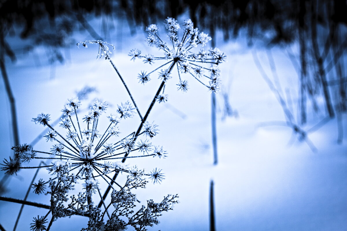 похоже на феерверк - Артём 