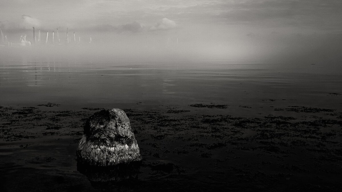 Тумана зимнего визит. - Анатолий Щербак