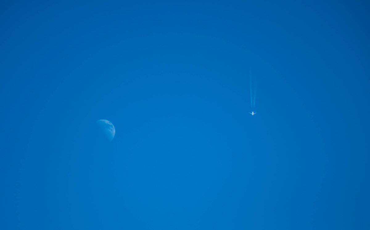 Поймал - Владимир Иванович