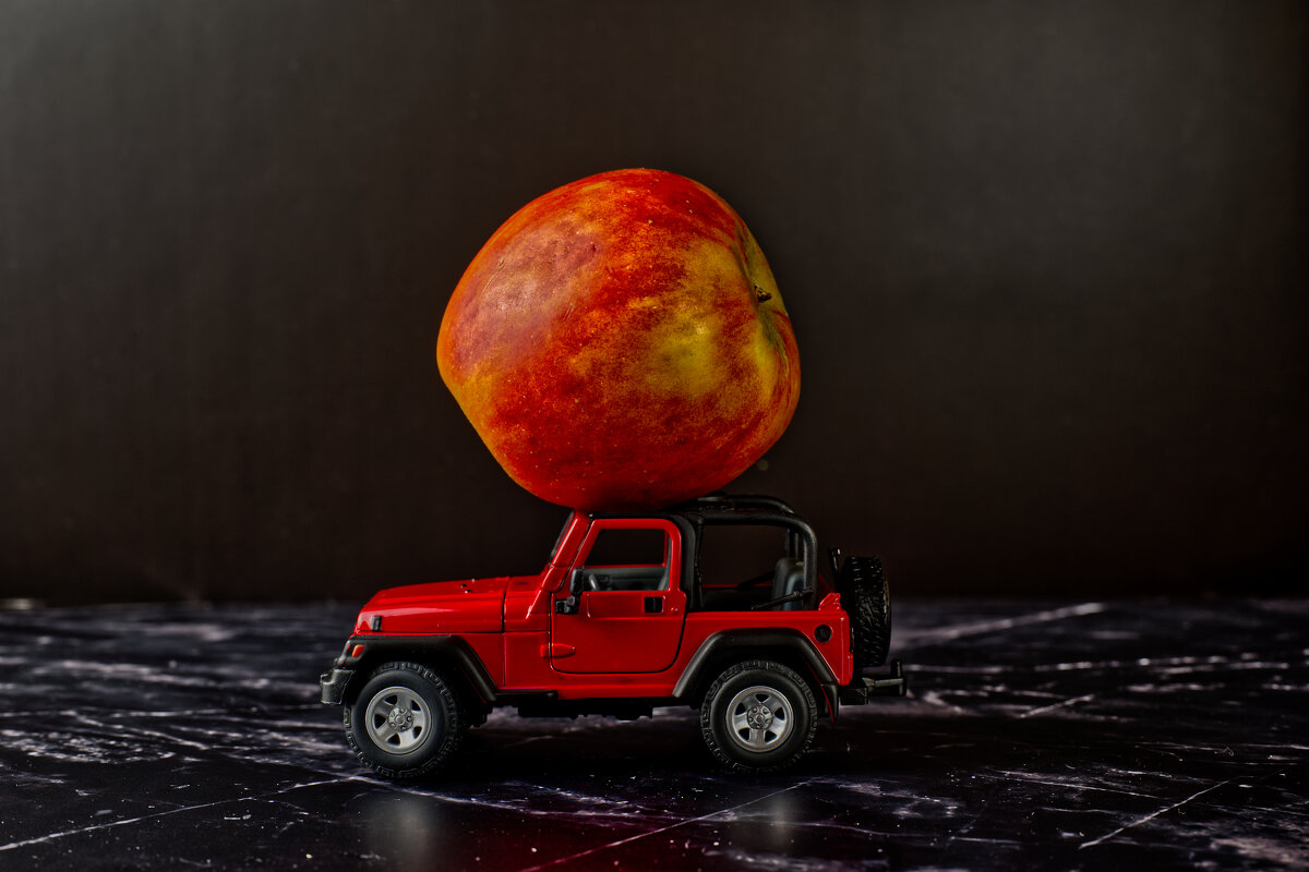 (°-°) - Jakob Dick