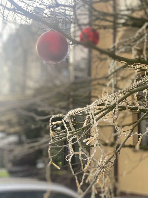 ПолуАрт))) - Alexey YakovLev