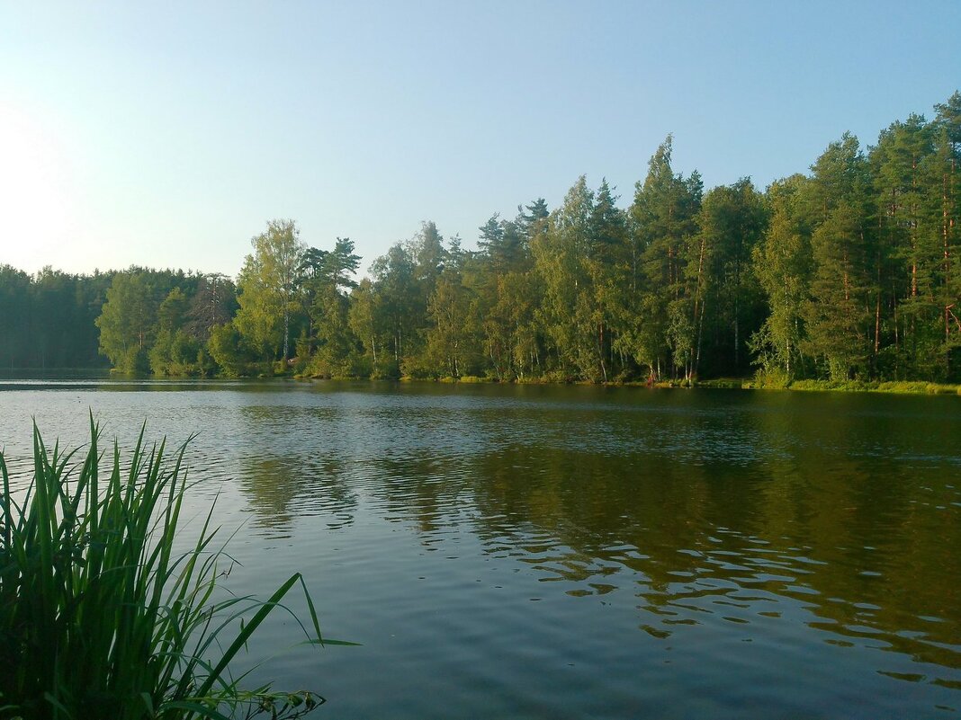 Озеро Валкиярви - Елена Суханова Озеро Валкиярви - Елена Суханова