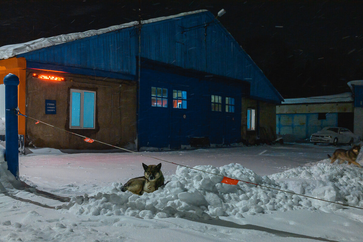 ... - Жора Житников