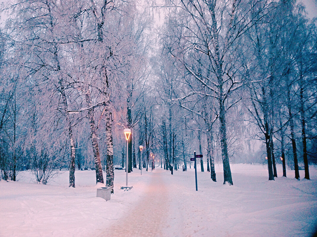 Зимний вечер в парке - Сергей Кочнев