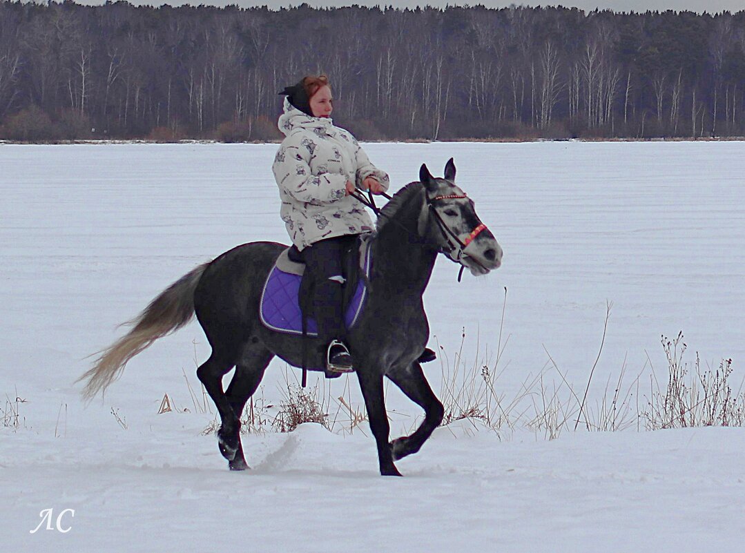 Наездница - Любовь Сахарова