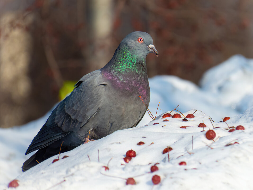 *   *   * - Уже не важно 