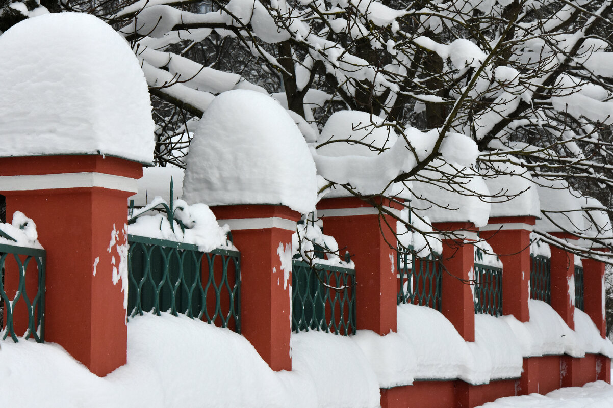 Москва. Воронцовский парк. В шапочках... - Наташа *****