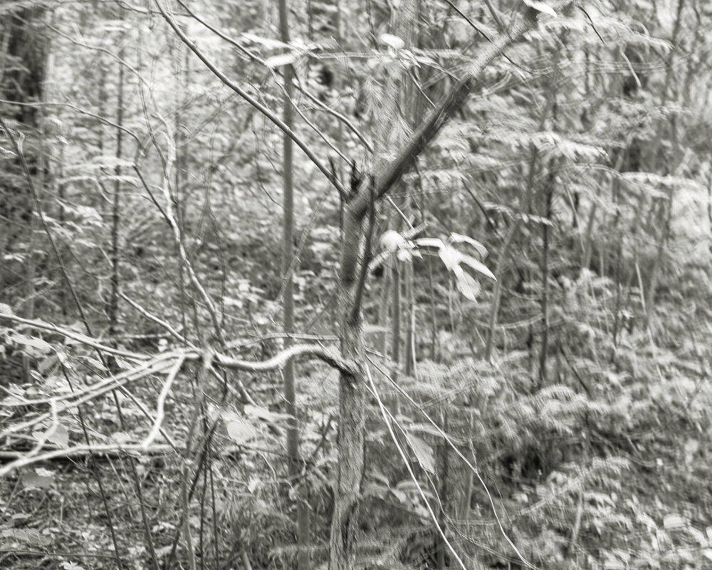 Фотография - Денис Безногов