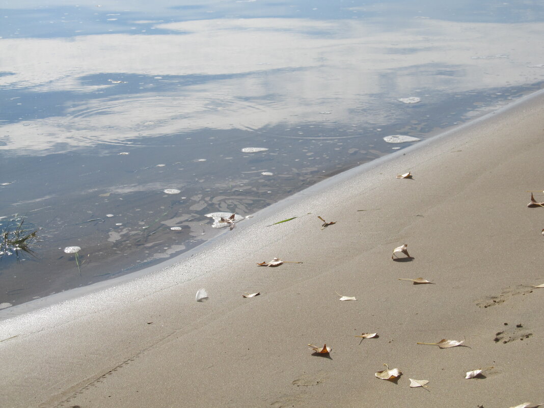 тихий октябрь - Елена Шаламова