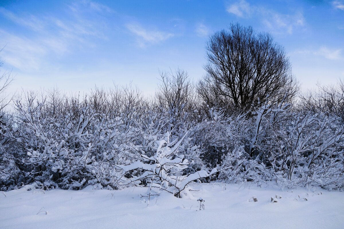 Зимние зарисовки - Рита Симонова