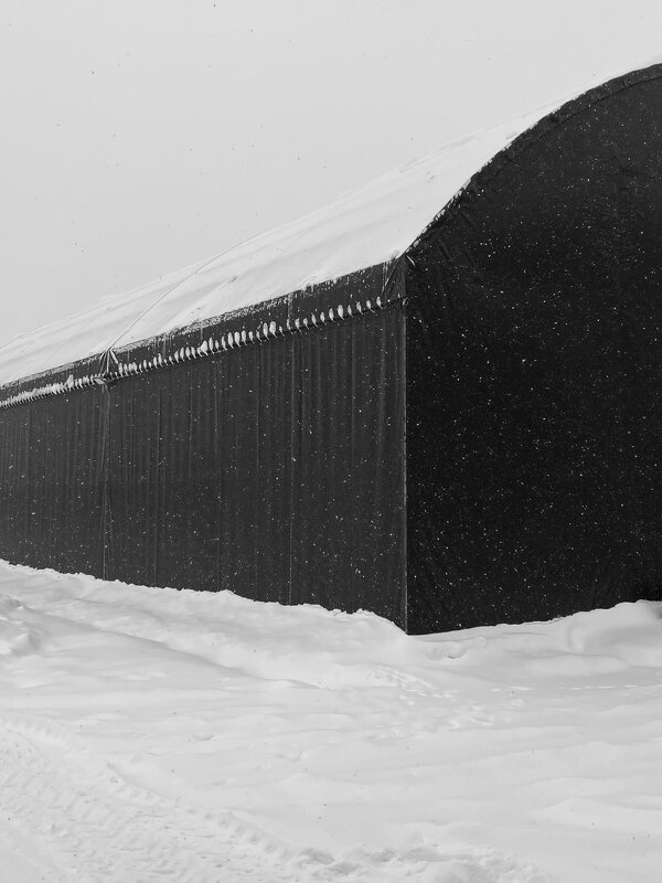 Снег в чб - М С