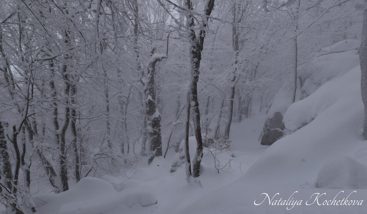 Природа Крыма - Amazing Cosmea