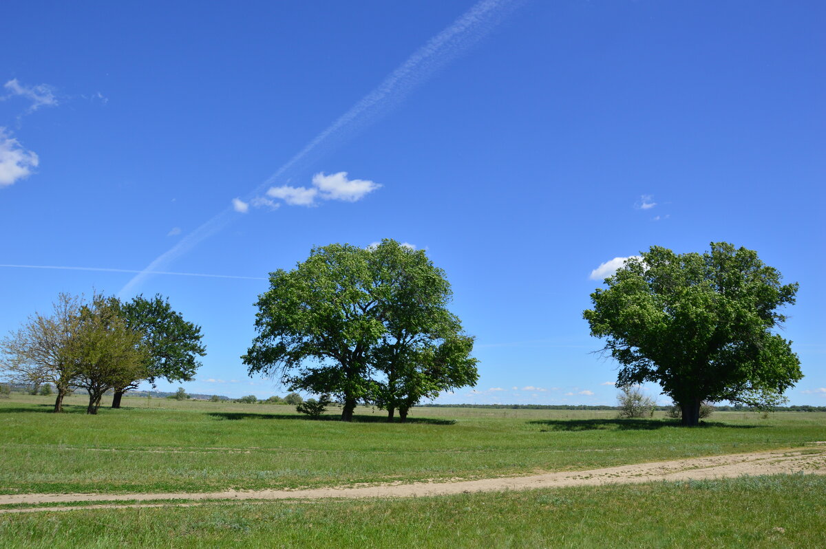 Степь. - Виктор 
