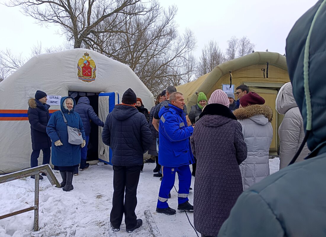 *** - Мария Васильева