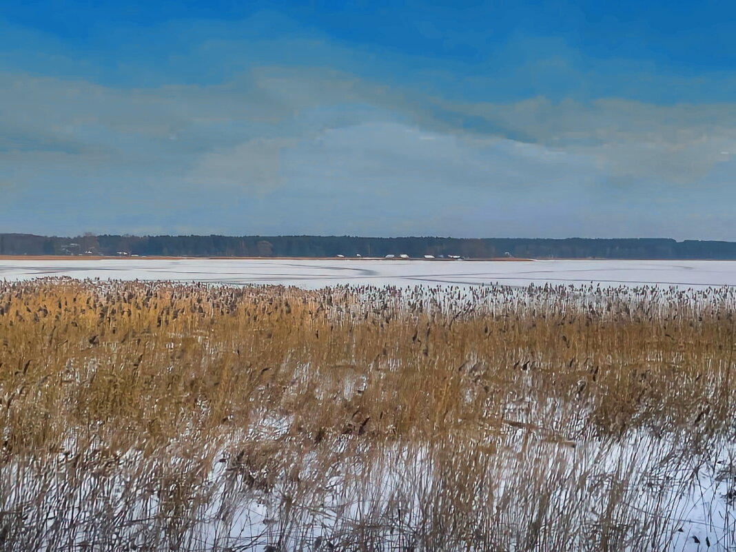 Winter 2026 1 - Arturs Ancans